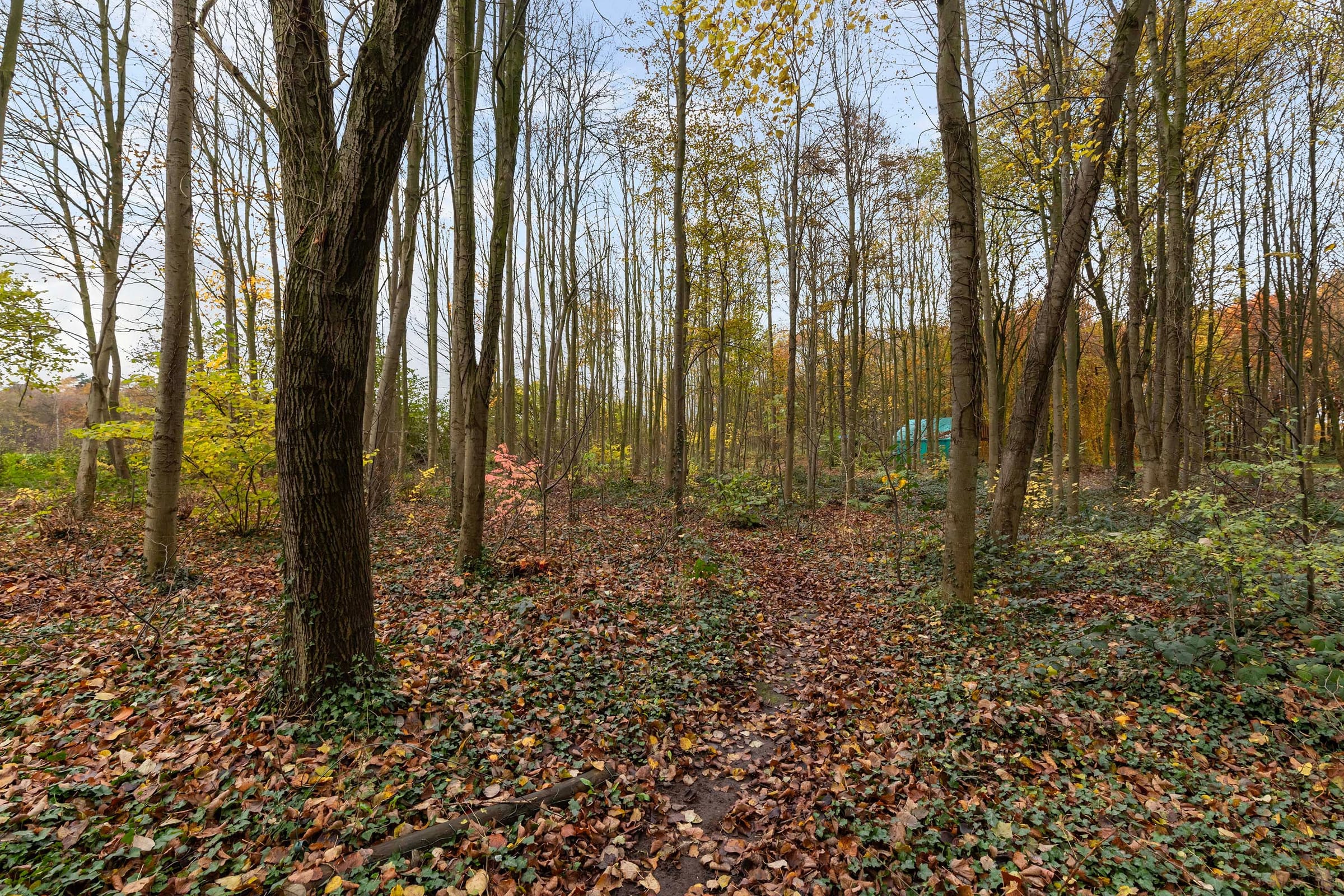't Veld 30, 7245 XA Laren Gld afbeelding 25