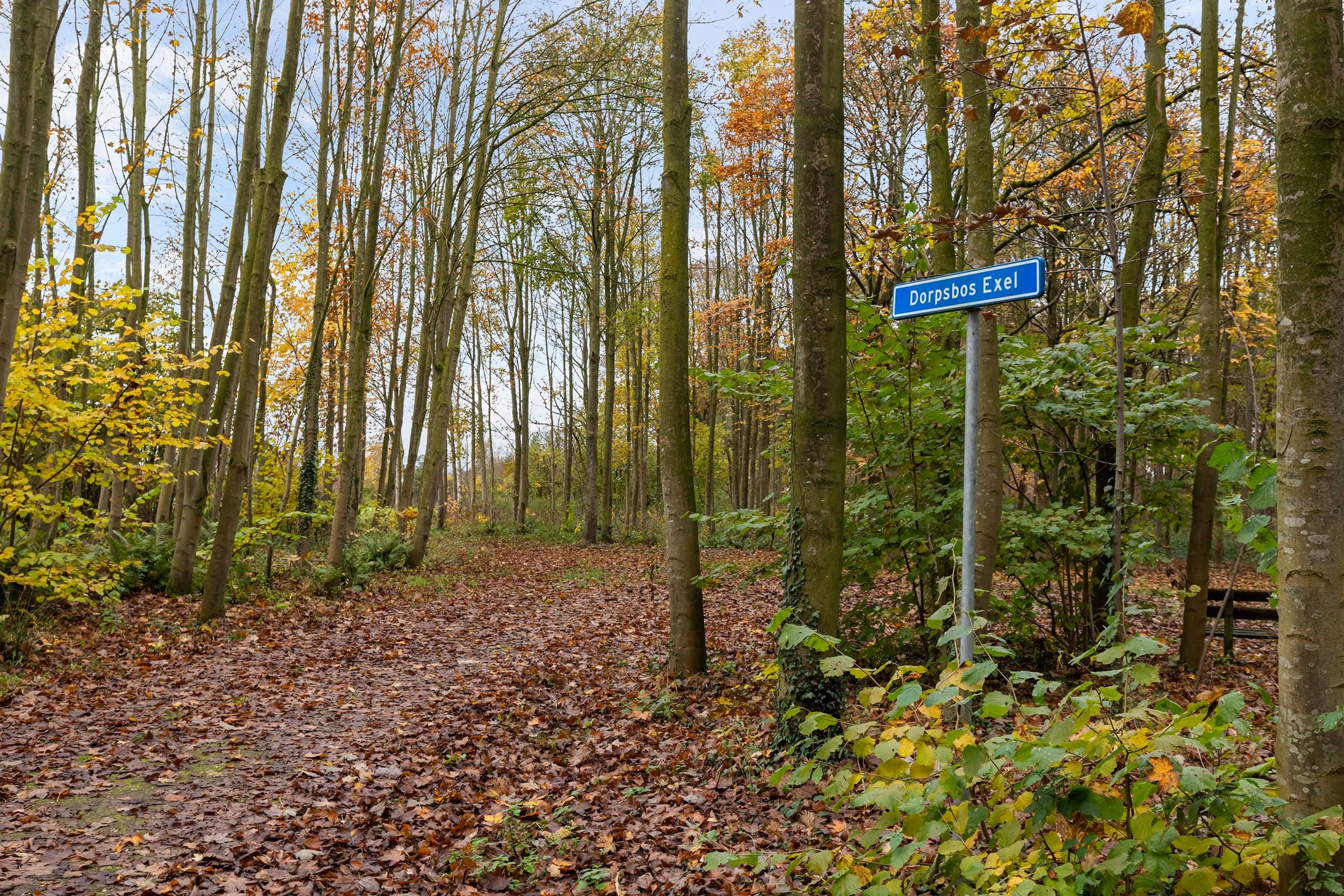 25 't Veld 30_25.jpg