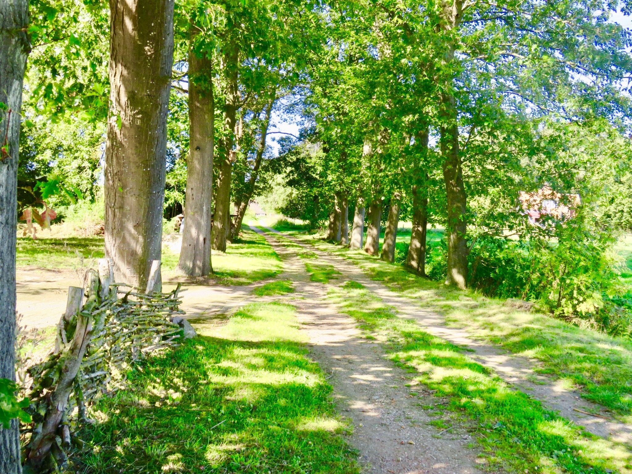 Blauwedijk 22, 7218 BL Almen afbeelding 31