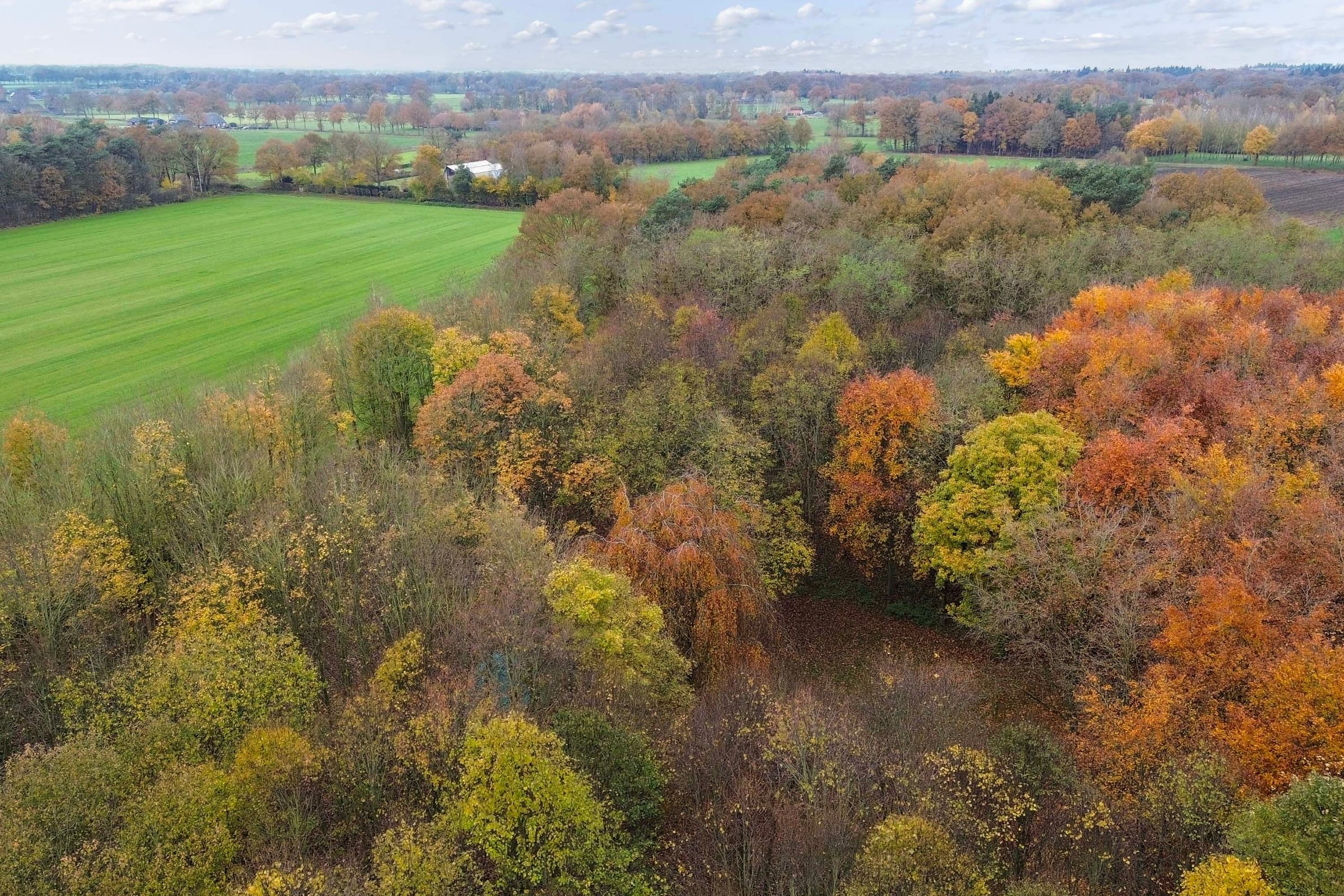 't Veld 30, 7245 XA Laren Gld afbeelding 44