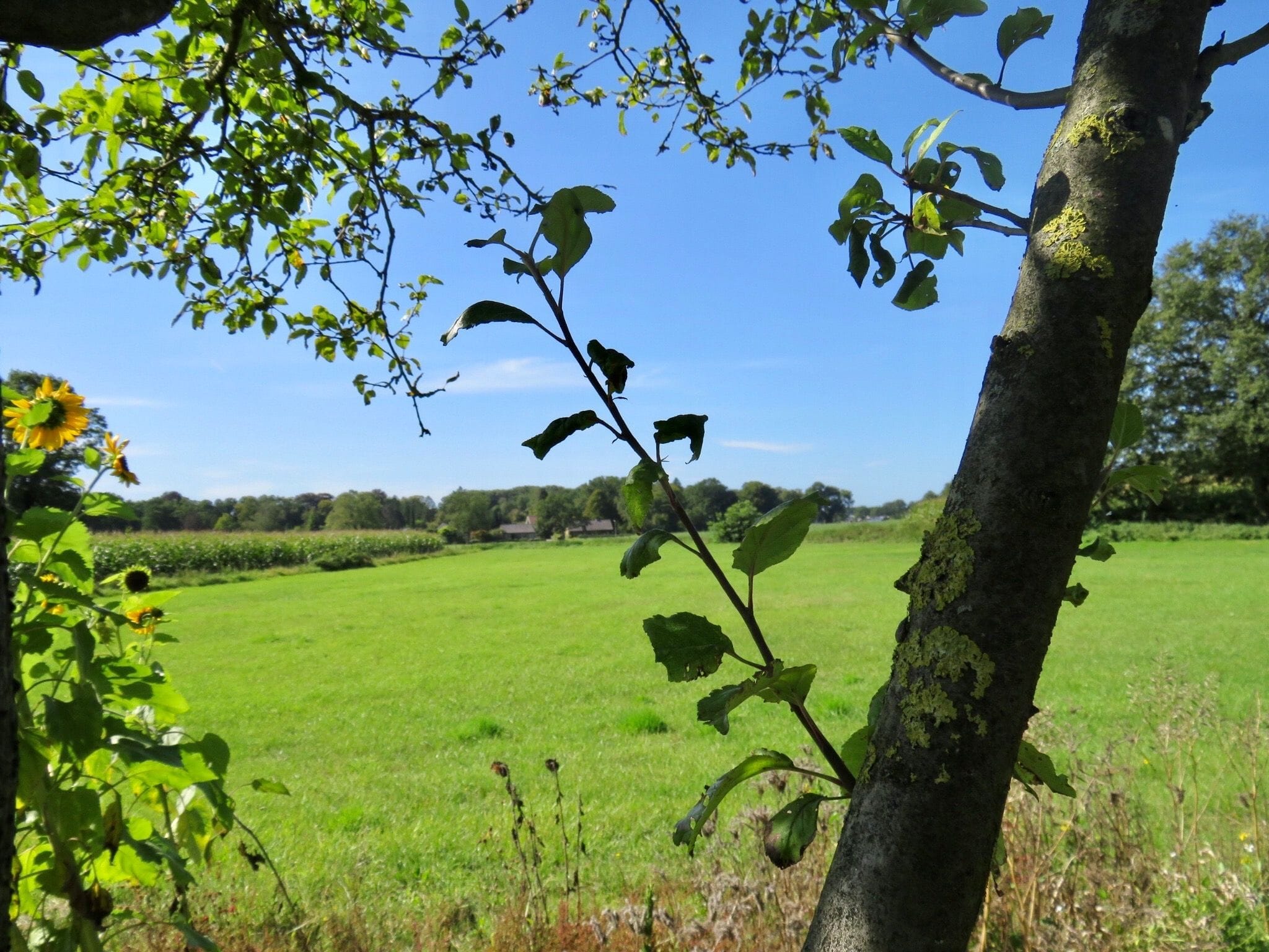 Blauwedijk 22, 7218 BL Almen afbeelding 10