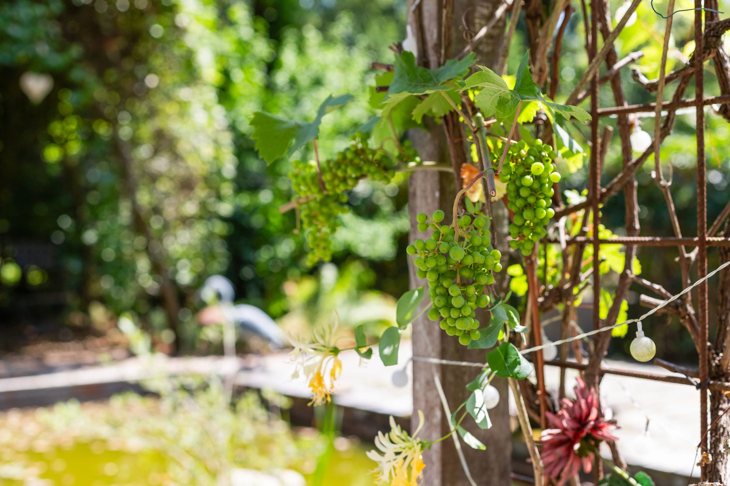 Postweg 101, 7451 TV Holten afbeelding 32