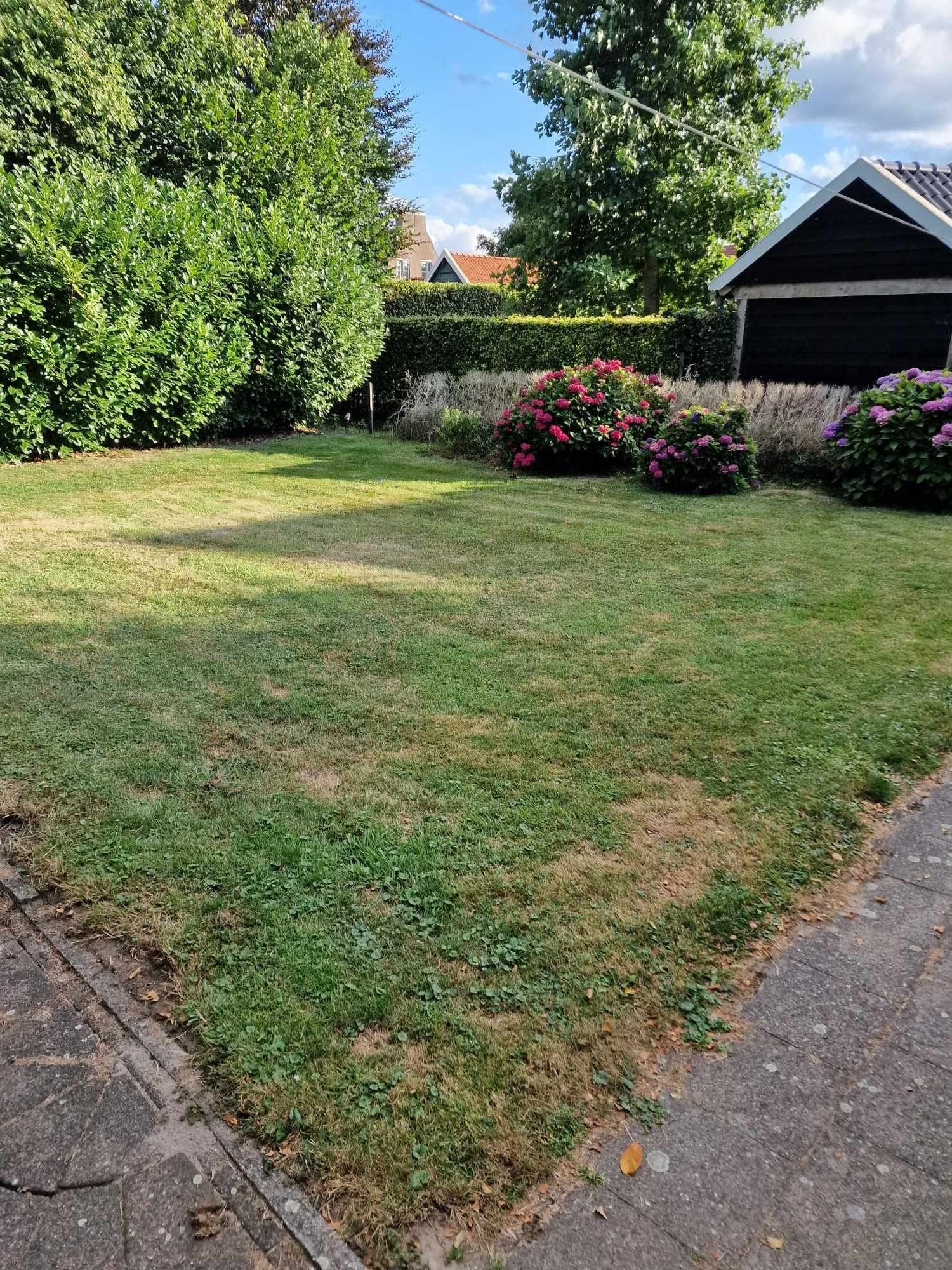 Tuin Molenbeek 3.JPG