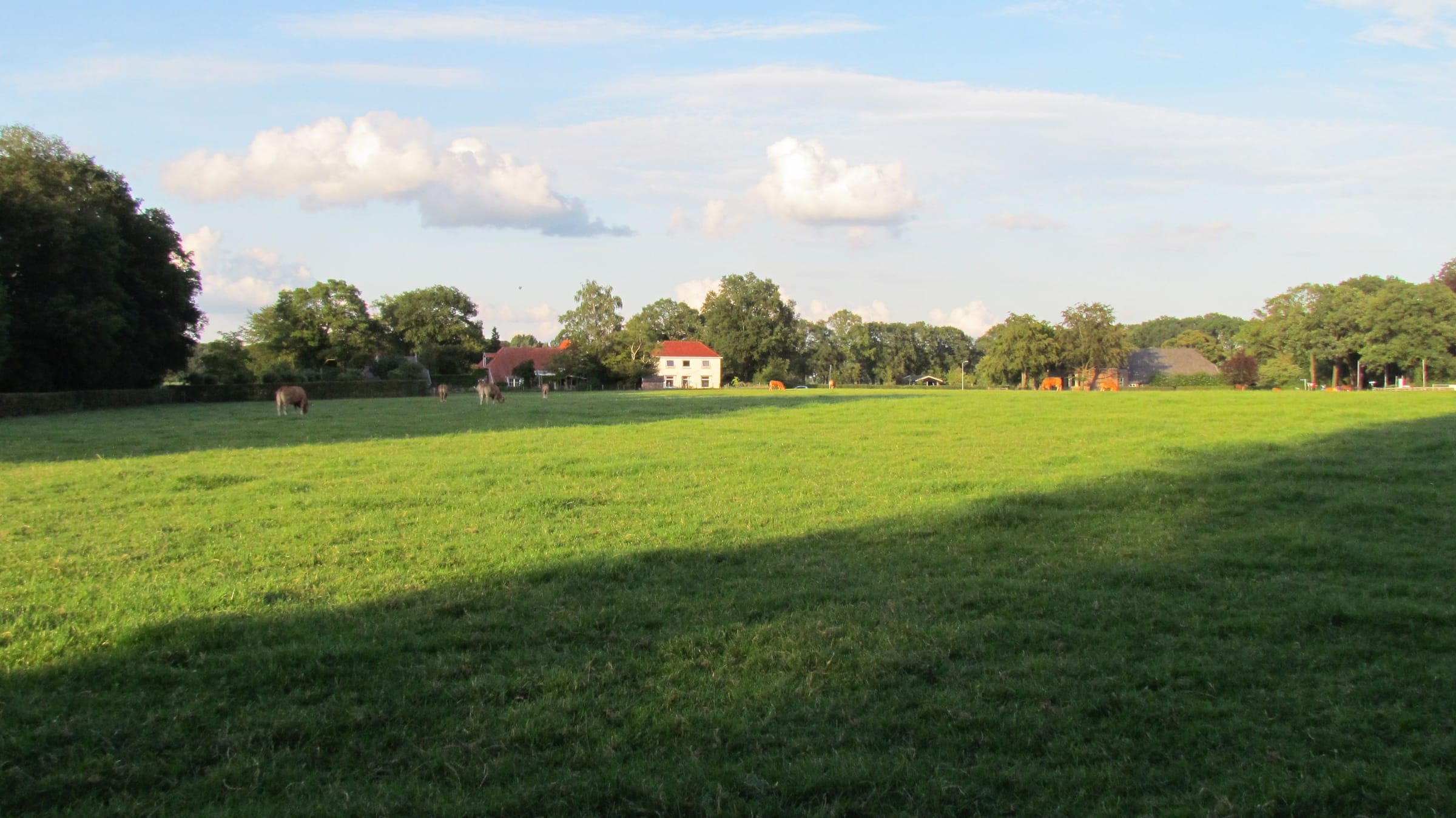 04. VergezichtJPG.JPG