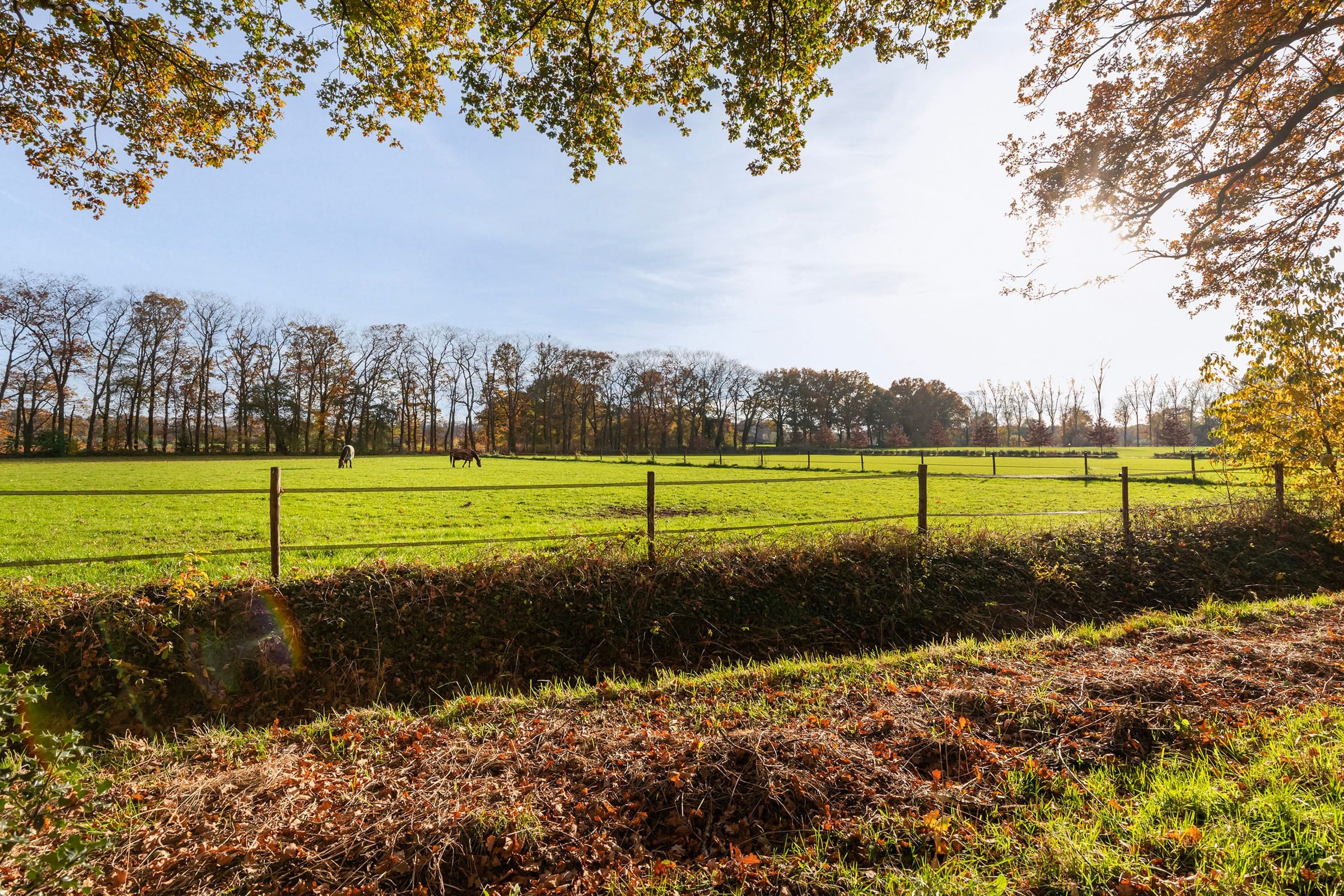 Kijksteeg 6 - 6a_04.jpg