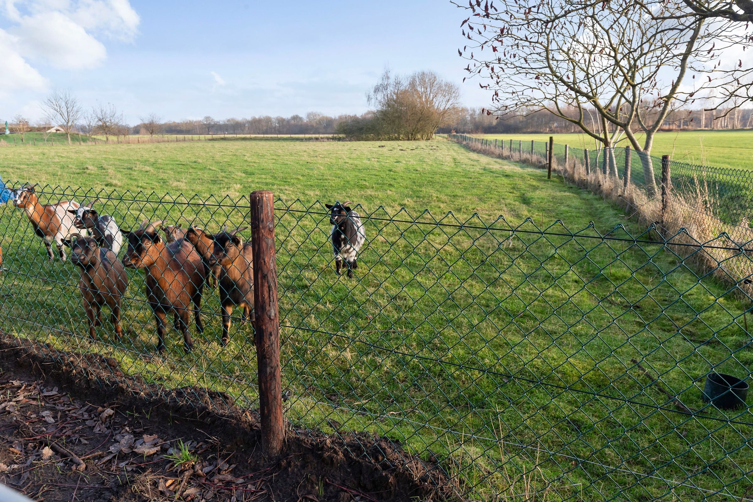 Oude Sluisweg 7_35.jpg